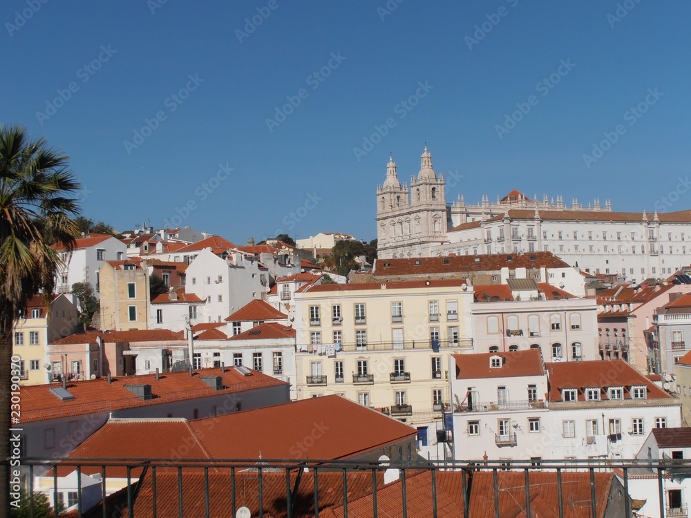 View of Lisbon architecture, houses and roofs to the top of the hill.