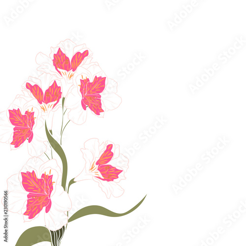 Pink white alstroemeria elegant card. A spring decorative bouquet. Small floral garland.