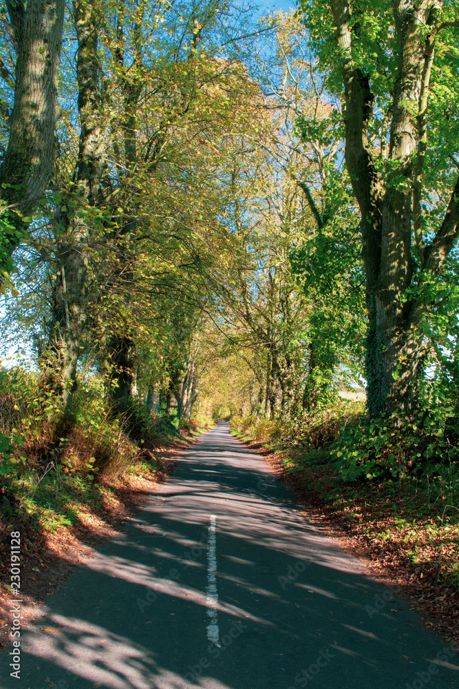 Narrow road