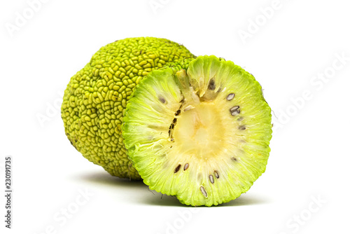 Maclura pomifera fruit on white background photo