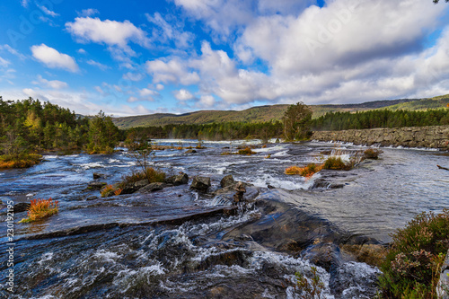 A wild river floating through rocks an trees. In the wonderfull landscape of Norway there are no people.