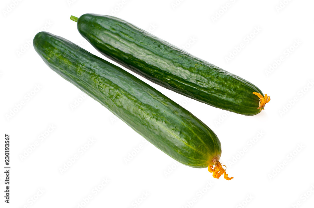 long ripe cucumbers isolated on white background long ripe cucumbers isolated on white background