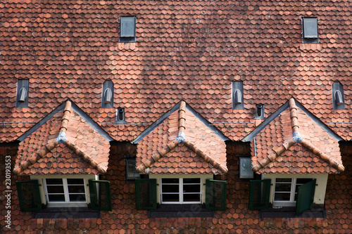 Roof of a traditional house...
