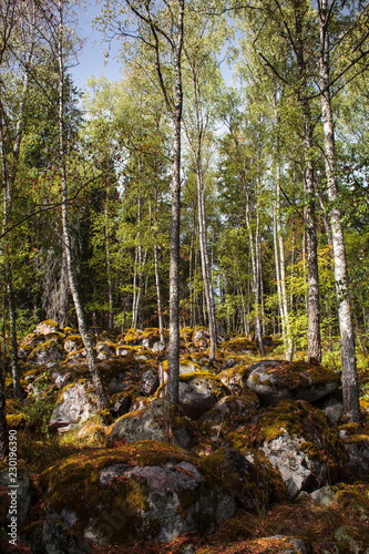 Swedish landscape photo