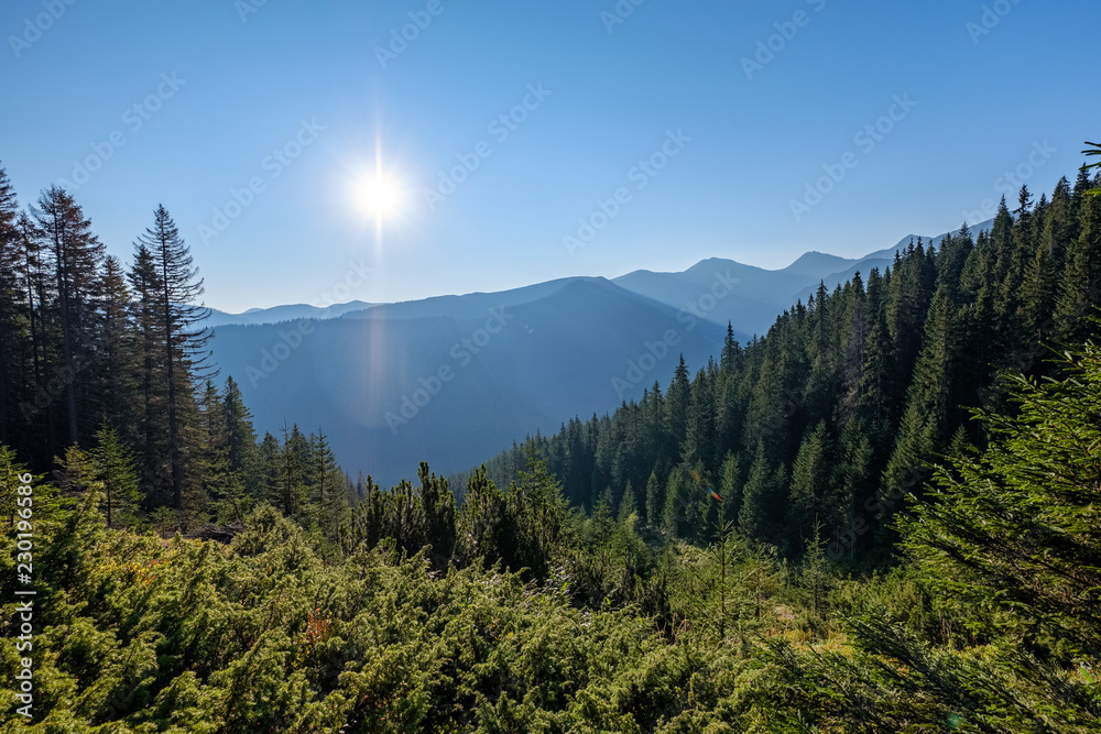 misty sunrise in Slovakian Tatra mountains with light lanes in fog over dark forest misty sunrise in Slovakian Tatra mountains with light lanes in fog over dark forest
