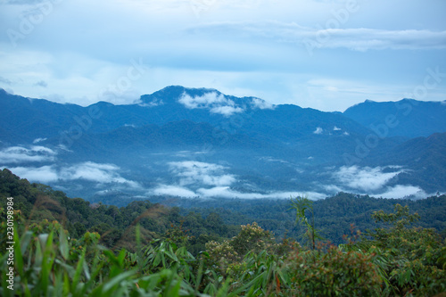 Misty lanscape with tropical rain forest and mountains