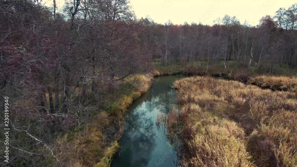 Quadrocopter, Autumn, Forest 4 Quadrocopter, Autumn, Forest 4