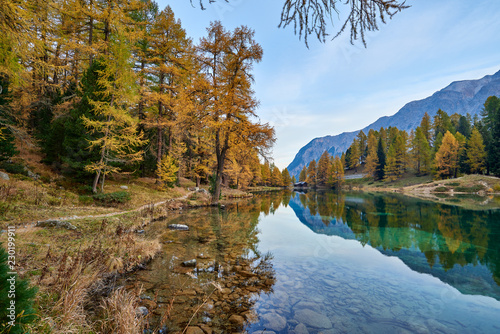 Fotografie Herbstzauber am Palpuognasee, Lai da Palpuogna, Bergsee am Albulapass, Uferweg m
