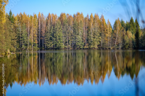 nature reflections in clear water in lake or river at countryside