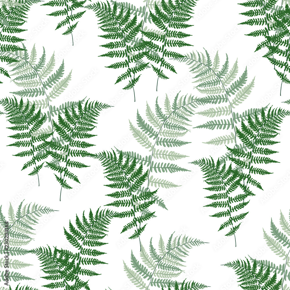 Fern frond herbs, tropical forest plant leaves seamless background illustration. Bracken foliage, jungle leaves, tropical fern forest grass herb. White background. Fern frond herbs, tropical forest plant leaves seamless background illustration. Bracken foliage, jungle leaves, tropical fern forest grass herb. White background.