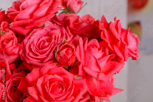 Red roses flowers