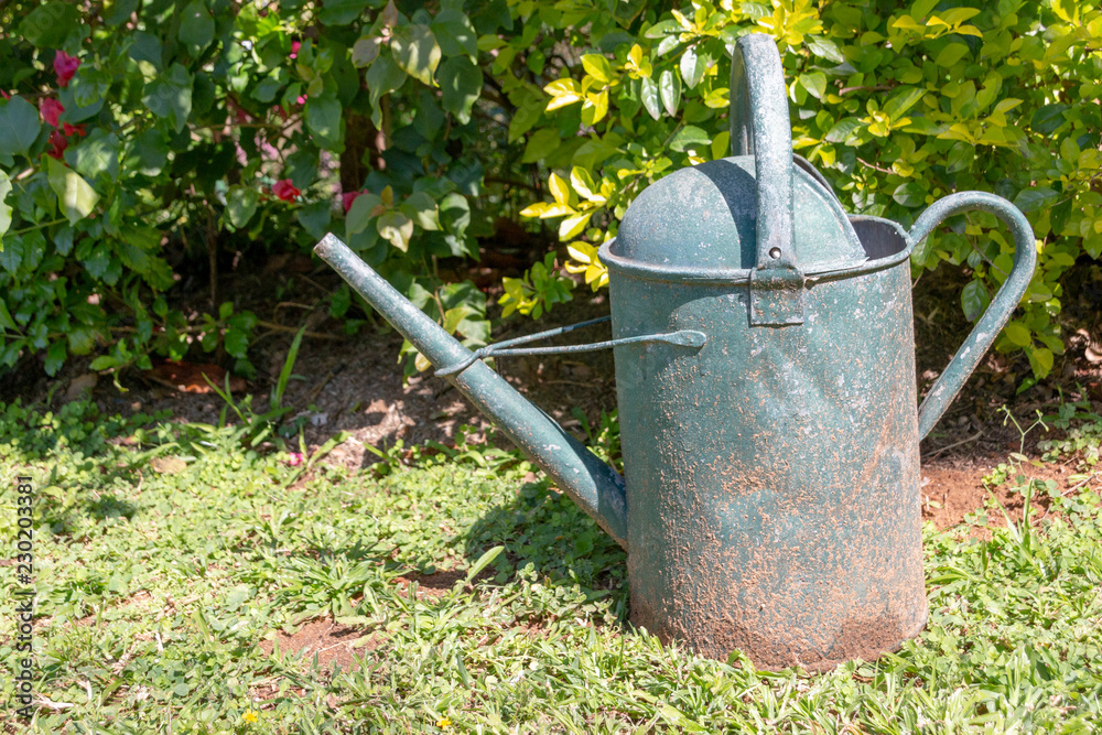 A Old Rusted Watering Can