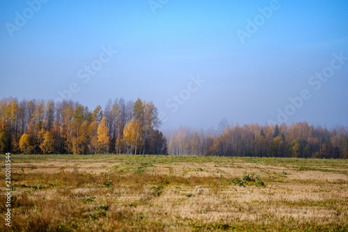 empty field in late autumn