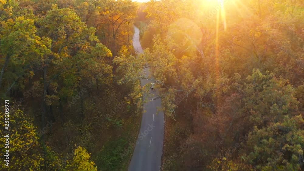 Aerial view on car driving through autumn forest road. Scenic autumn landscape