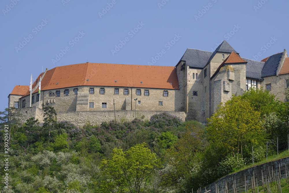 Herzoglicher Weinberg unterhalb von Schloss Neuenburg bei Freyburg, Burgenlandkreis, Sachsen-Anhalt, Deutschland.....