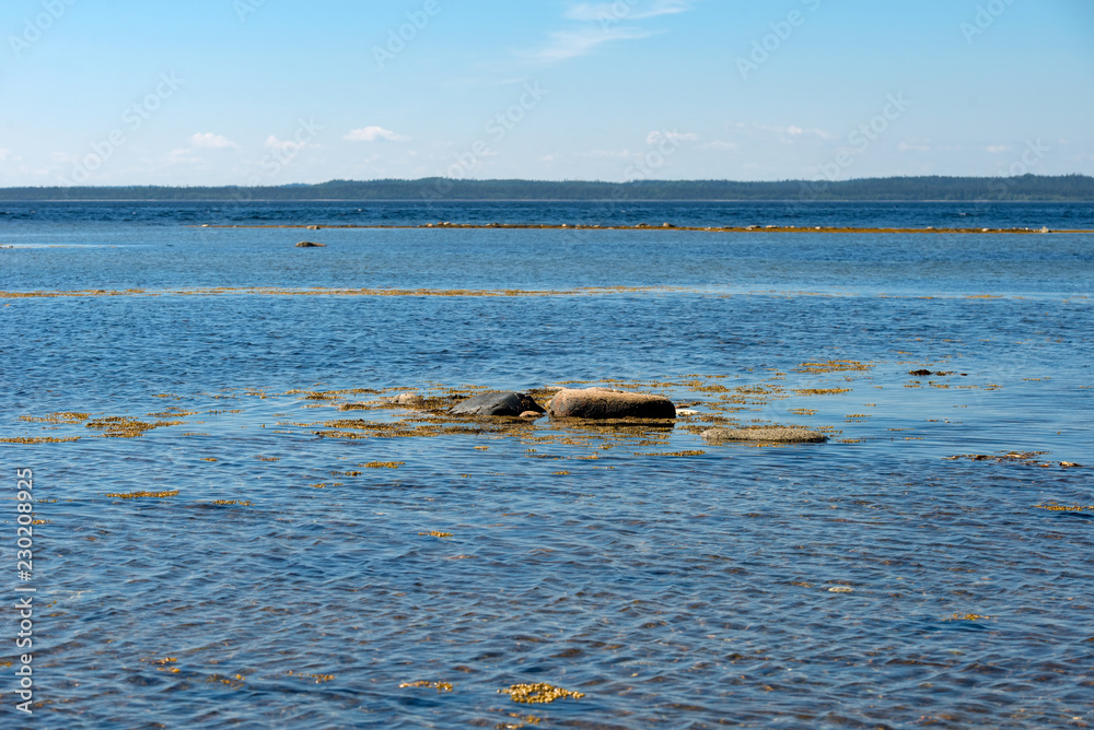 Fototapeta premium Anzer Island. Solovetsky Islands. White Sea Coast