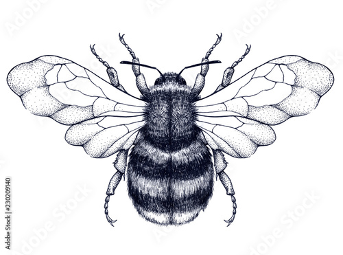 Honeybee tattoo. Dotwork tattoo. Mystical symbol of diligence, economy, purity, immortality, fertility and chastity