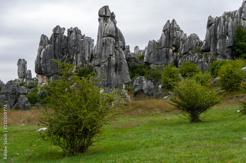 Stone Forest (Shilin)