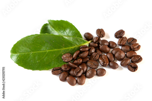 feuille et grain de café