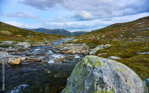 highland mountain stream at dovrefjell norway
