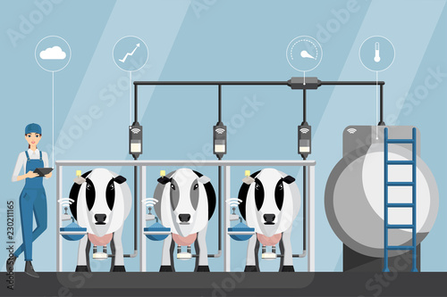 Woman farmer with tablet on a modern dairy farm. Smart farming, herd management and automatic milking. Vector illustration.