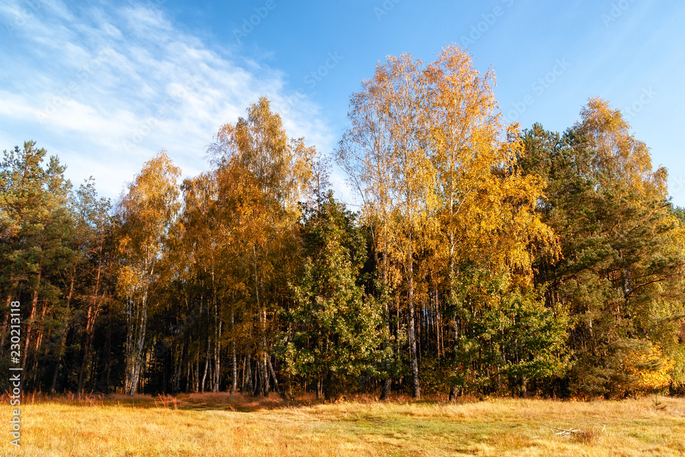 Jesień w Krainie Górnej Narwi - Podlasie - Polska Jesień w Krainie Górnej Narwi - Podlasie - Polska