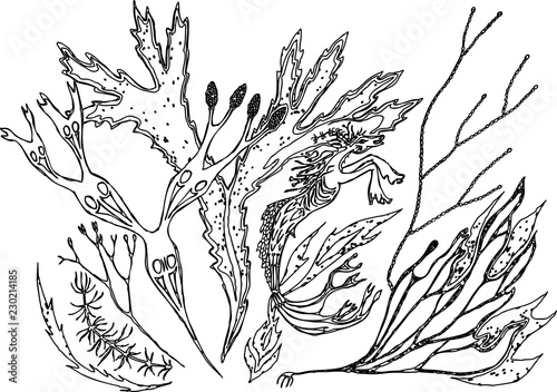 Abstract composition of fabulous plants