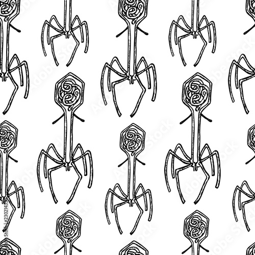 Seamless background of virus  bacteriophage