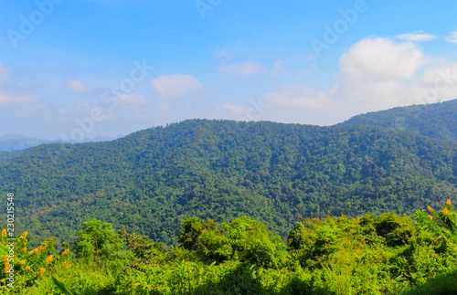Green forest mountain with blue sky views at Khao yai national park Thailand