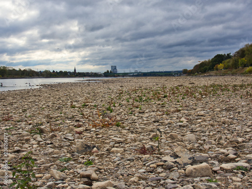 Rheinufer bei Bonn 