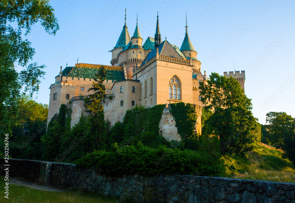 Fototapeta premium castle