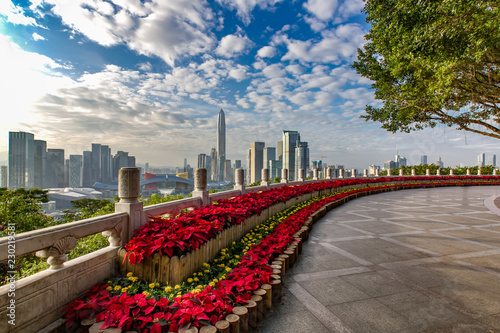 Shenzhen Lianhuashan City Landscape photo