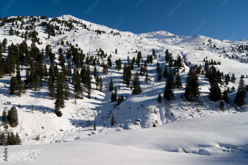 Winterlandschaft bei Hochfügen, Österreich