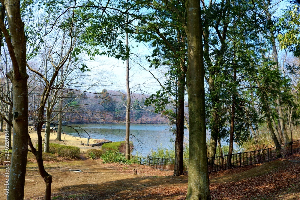 Obraz premium 風景 冬 井頭公園