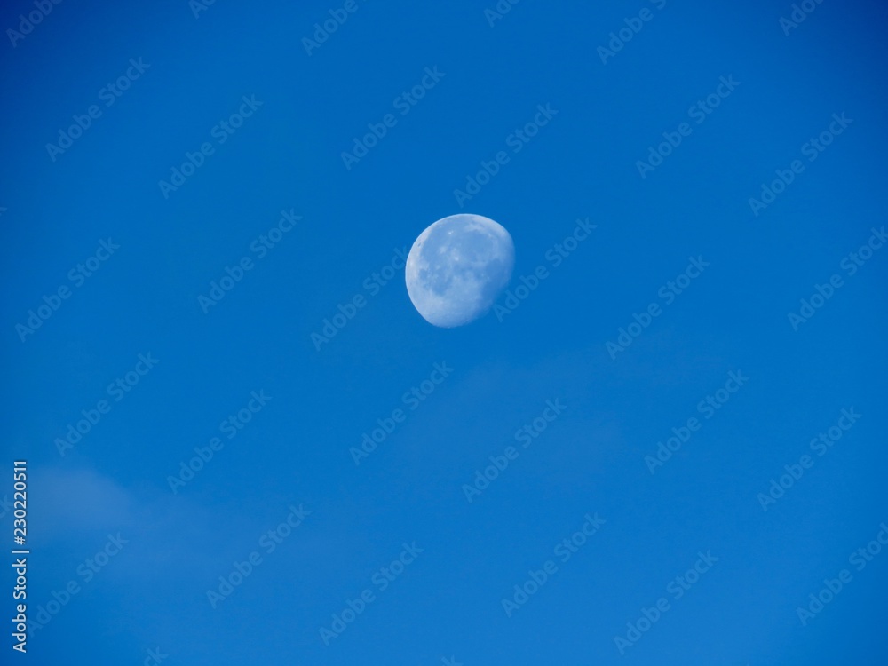 moon high in the day light sky moon high in the day light sky