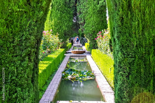 Generalife gardens near Alhambra, Granada, Spain photo