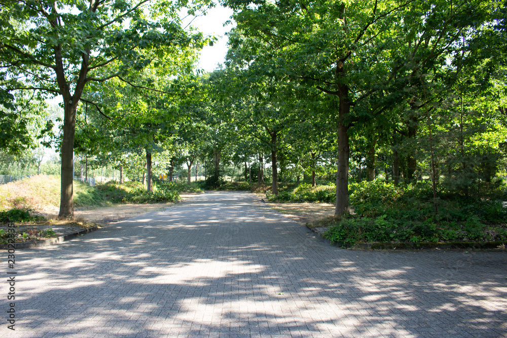 Fototapeta premium Parken Parkplatz