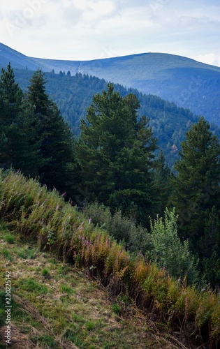 Musała , najwyższy szczyt masywu Riła, Bułgaria photo