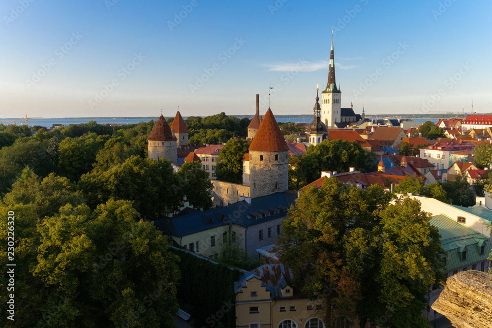 Tallin's panorama  from castle