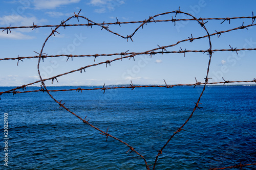 heart of barbed wire  with love from prison
