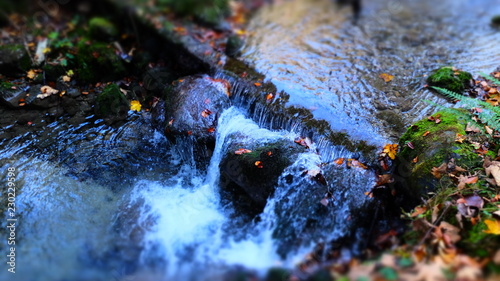 magic of water and nature