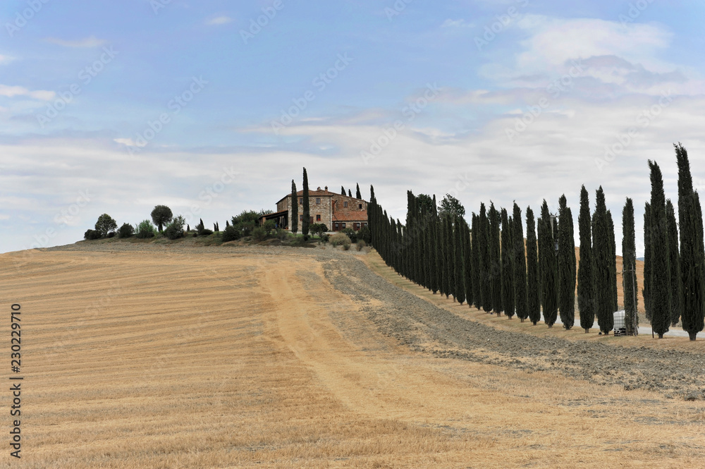 Zypressenallee mit Bauernhaus, südlich von Pienza, Toskana, Italien, Europa, ÖffentlicherGrund, Europa