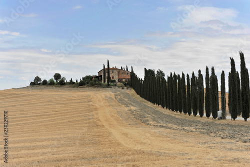 Zypressenallee mit Bauernhaus, südlich von Pienza, Toskana, Italien, Europa, ÖffentlicherGrund, Europa