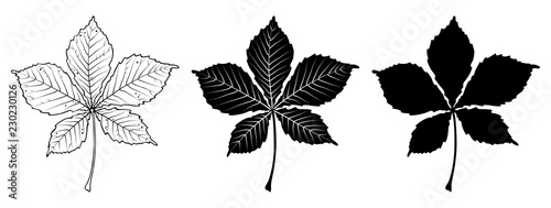 Chestnut leaf. Linear, silhouette isolated on white background. Vector illustration