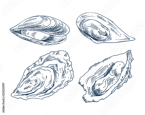 Cockleshell Icon Set for Nautical Promo Poster