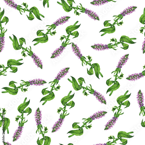 Seamless pattern with summer lilac field flowers on white background. Hand drawn watercolor illustration.