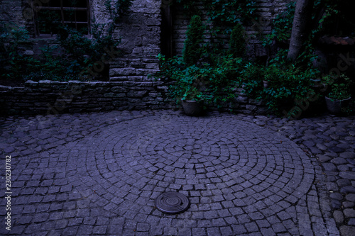 old ancient yard  with green bushes and stone circle floor