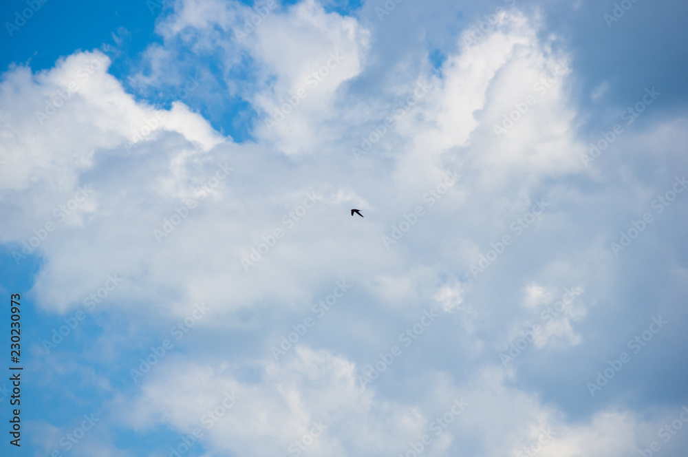 beautiful background bright blue sky with white clouds beautiful background bright blue sky with white clouds