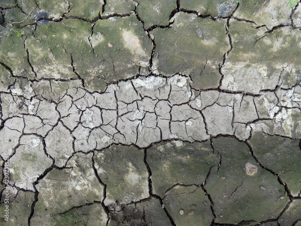 Obraz premium Siccità