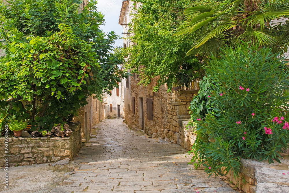 The historic hill village of Bale (also called Valle) in Istria, Croatia
